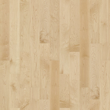 hardwood floor solid maple 5 maple natural by shaw hardwood floor solid maple 5 maple natural by shaw
