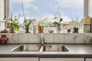 a-kitchen-sink-with-plant-on-the-window-sill-scaled