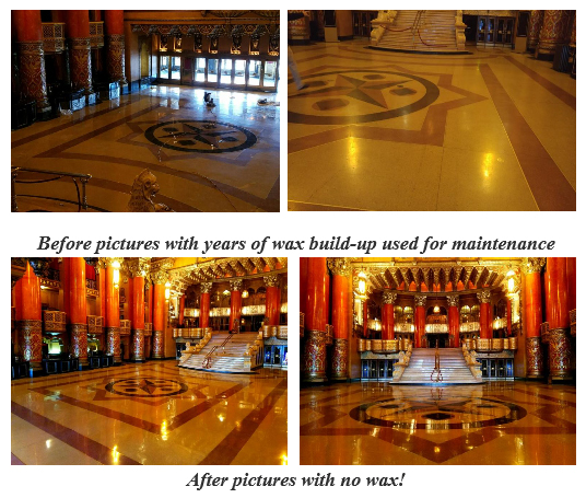 Cheetah Pad, Eco Friendly Stone Polishing, EcoPads, EcoStone, earth day, eco stone, Eco-friendly, energy conservation, Environmentally friendly flooring 